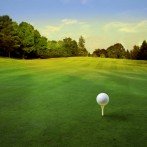 Introduction to the Golf Loopy Perfect Swing