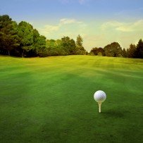 Introduction to the Golf Loopy Perfect Swing