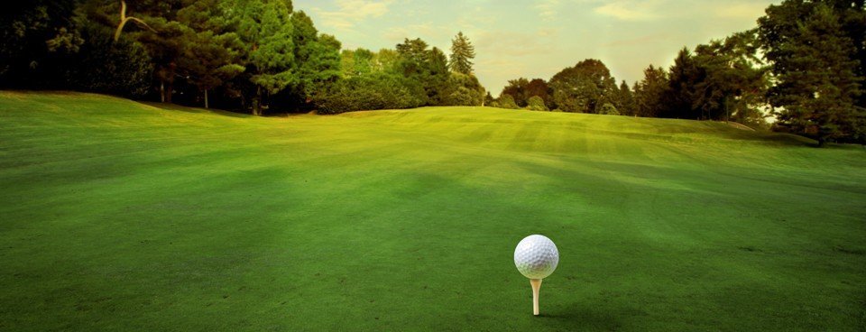 Introduction to the Golf Loopy Perfect Swing