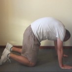 Cats and Dogs Exercise