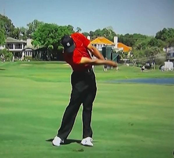 Figure 1 . Tiger Woods golf swing sequence.